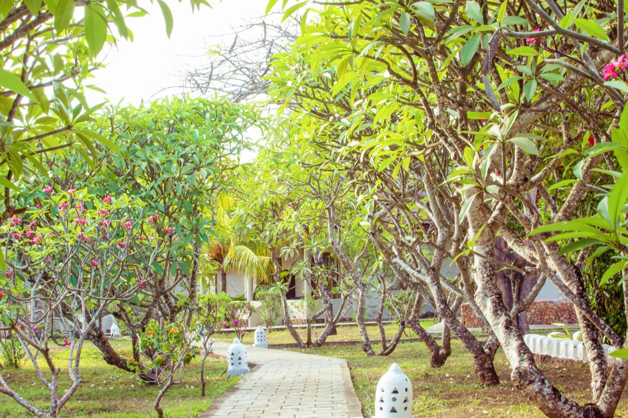 Mandarin Resort Zanzibar Kizimkazi Zewnętrze zdjęcie