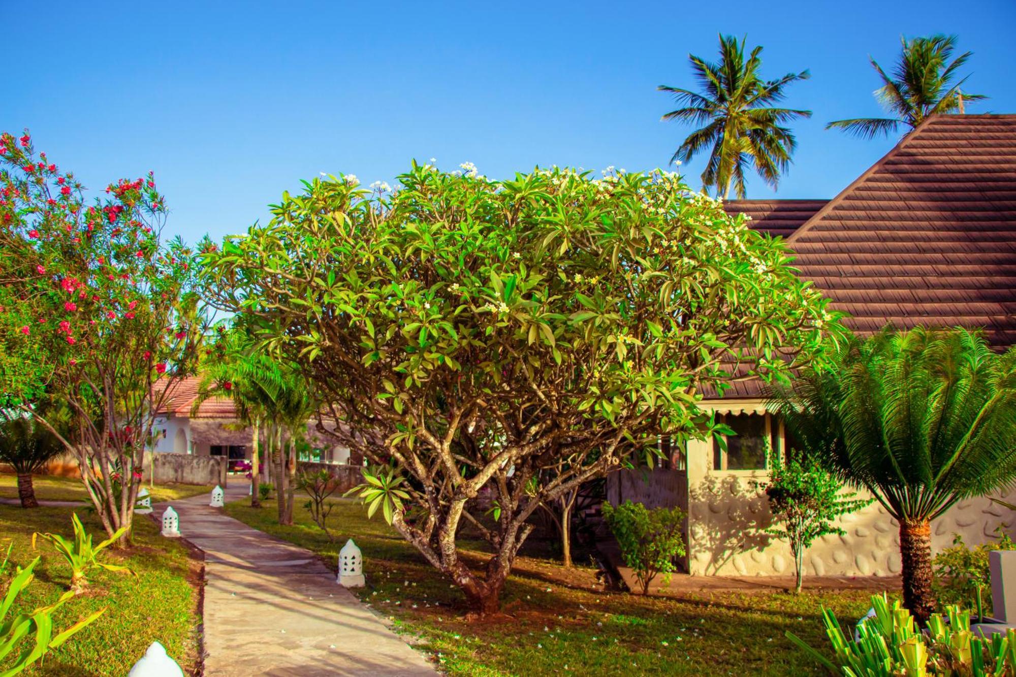 Mandarin Resort Zanzibar Kizimkazi Zewnętrze zdjęcie